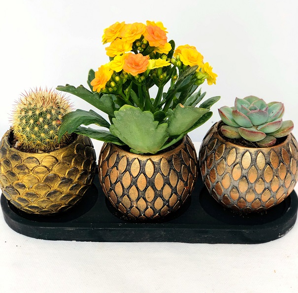 Bradley Gold Desenli Vazoda 3 Lü Kaktüs