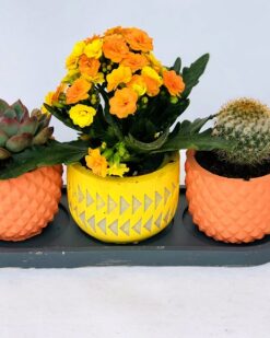 LEGER Desenli Vazoda 3 Lü Aranjman