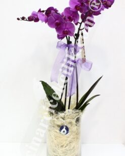 Nazar Boncuğum İkili Pembe Orkide