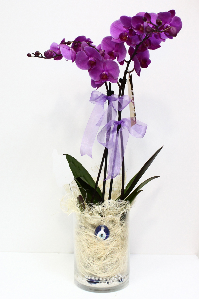 Nazar Boncuğum İkili Pembe Orkide - Görsel 2