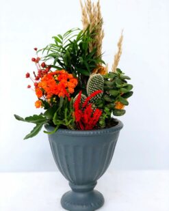 Paisler Dekoratif Vazoda Teraryum