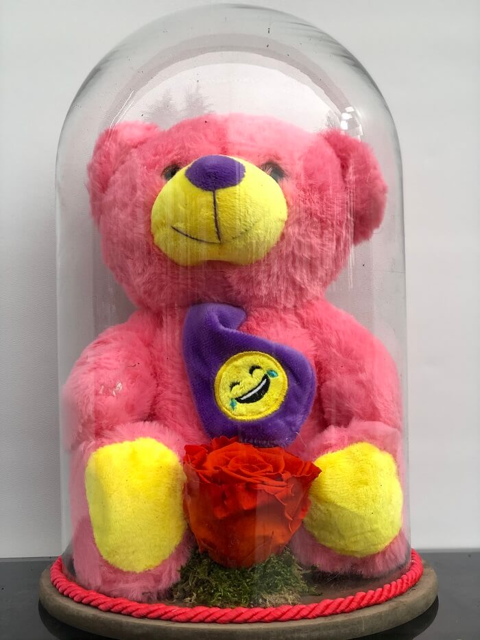 Solmayan Gül - Kırmızı Renkli Gül, Pembe Pelüş Ayı