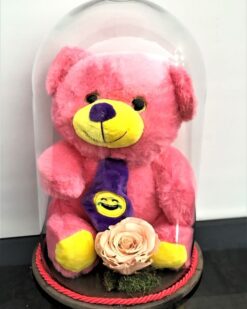 Solmayan Gül - Somon Renkli Gül, Pembe Pelüş Ayı