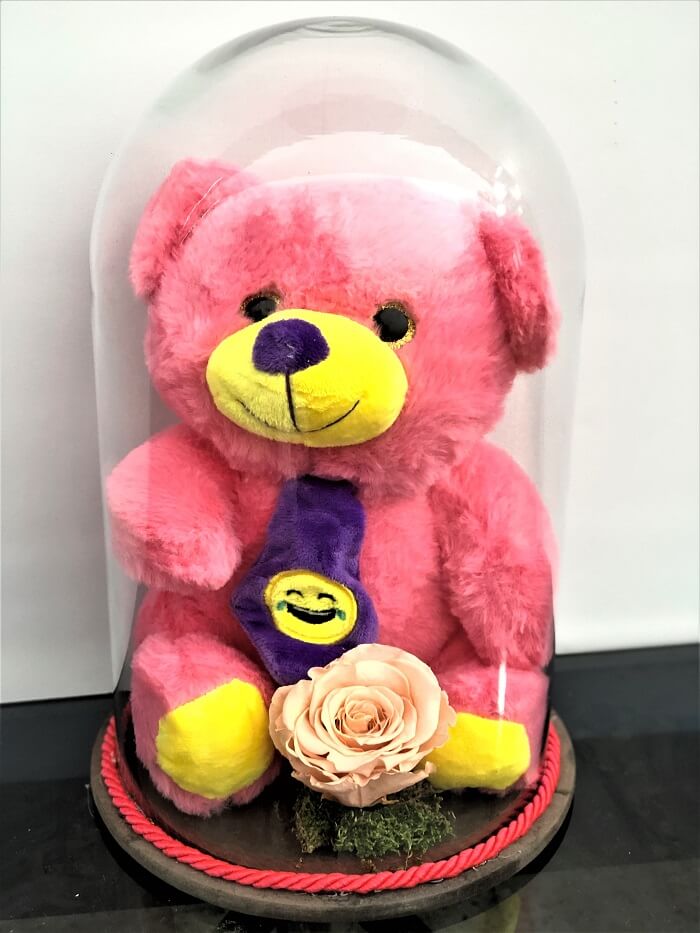 Solmayan Gül - Somon Renkli Gül, Pembe Pelüş Ayı