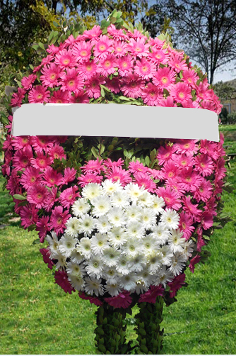 Pembe Beyaz Cenaze Merasim Çelengi - Görsel 2