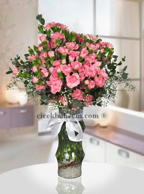 Karanfil - Görsel 5