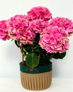 WOODY Dekoratif Vazoda Ortanca Saksı Çiçeği