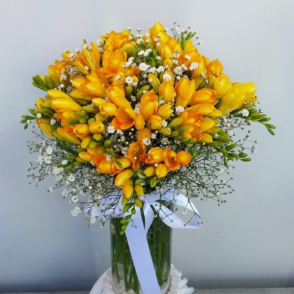 Sarı Kokulu Firezya - Görsel 2