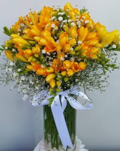 Sarı Kokulu Firezya