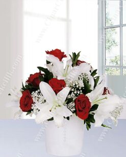 Düş Perisi Lilyum Kırmızı Gül C-AR131