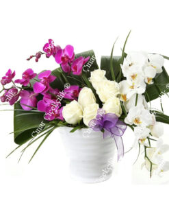 Güzel Aşk Beyaz Pembe Orkide Gül C-SER119