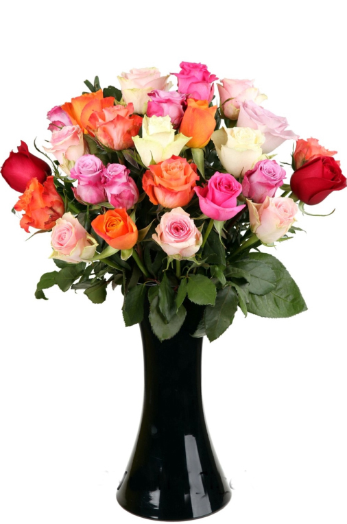 27 Renkli Birinci Sınıf Güller C-CAM126 - Görsel 2