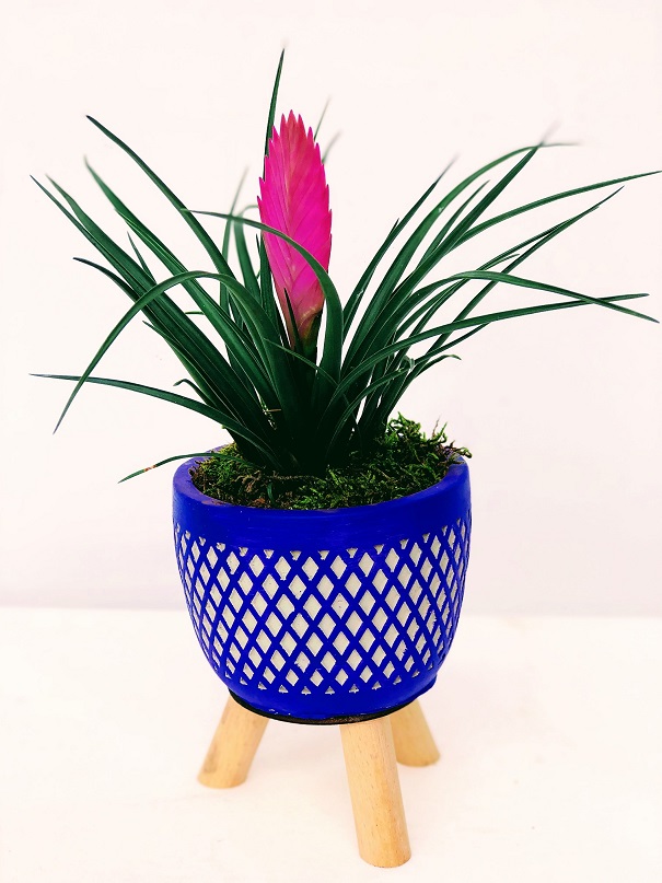 ADELAIDE Dekoratif Ayaklı Vazo Trilencia (Pembe) - Görsel 2