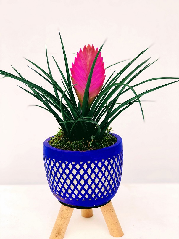 ADELAIDE Dekoratif Ayaklı Vazo Trilencia (Pembe)