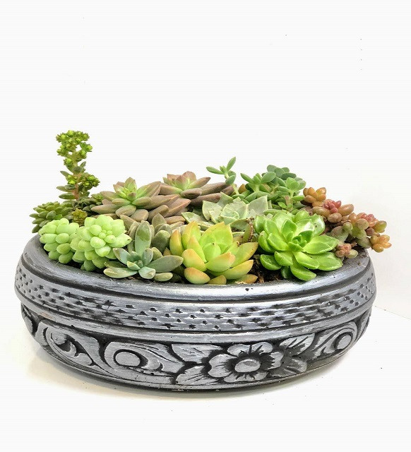 Cennet Bahçesi Sukulent Aranjmanı - Görsel 3