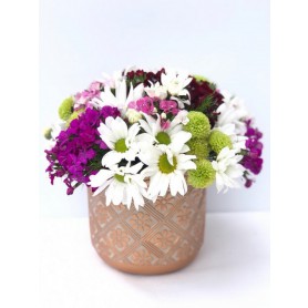 Kırların Büyülü Renği - Görsel 4