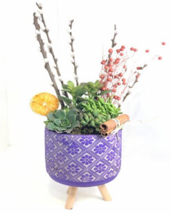 Taş Ayaklı Vazoda Sukullent