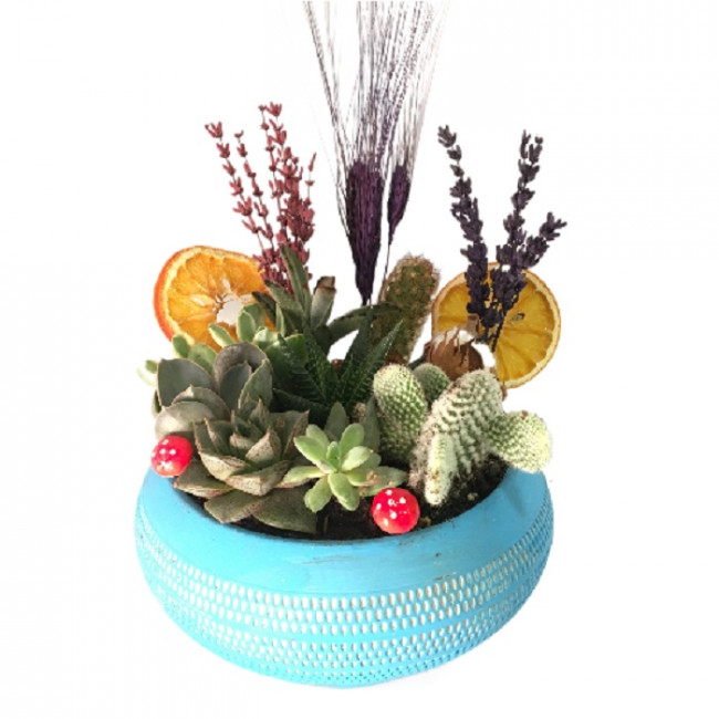 Cennet Bahçesi Sukulent Aranjmanı - Görsel 5